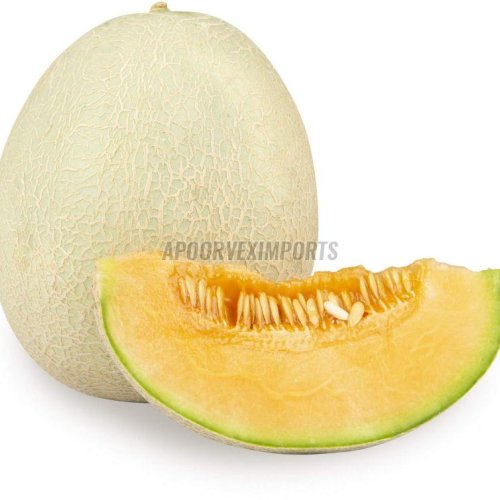 Fresh Round Muskmelon