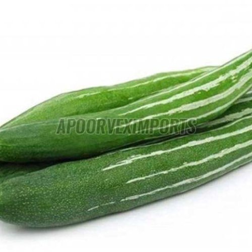 Fresh Snake Gourd