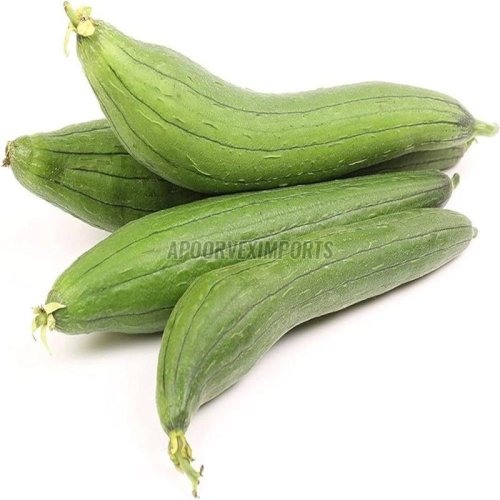 Fresh Sponge Gourd