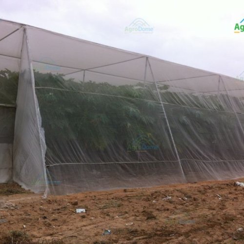 Shade Net House for Papaya Orchard Structure