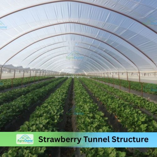 Shade Net House for Strawberry Orchard Structure
