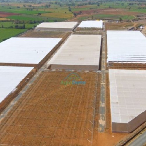 Single Layer Flat Roof Net House