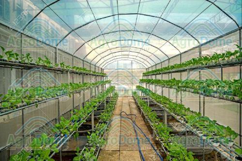 Greenhouse for Hydroponic