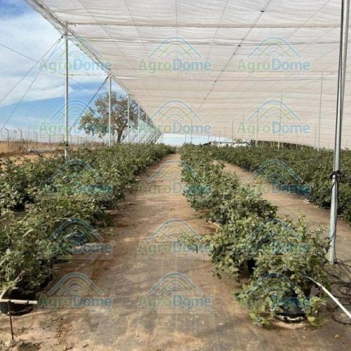 Prefab Double Layer Shade Net House