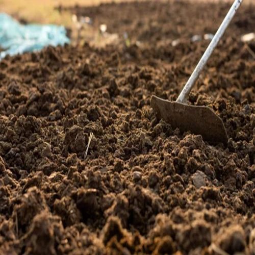 Organic Cow Dung Manure