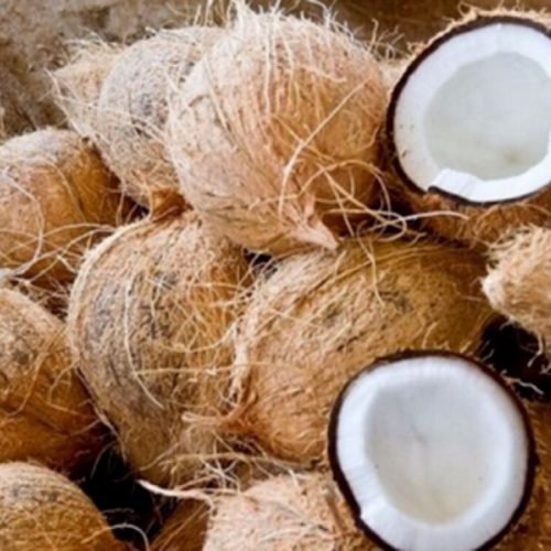 Semi Husked Coconut