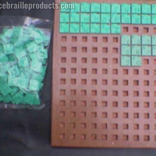 Crossword Game in Braille