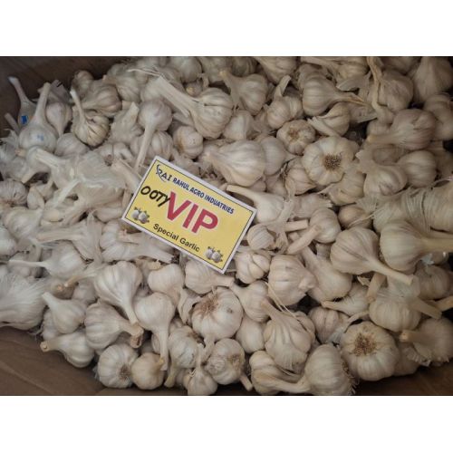 Ooty Vip Fresh White Garlic