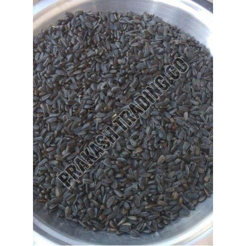 Sunflower Oil Seeds & Bird Feeding Seeds