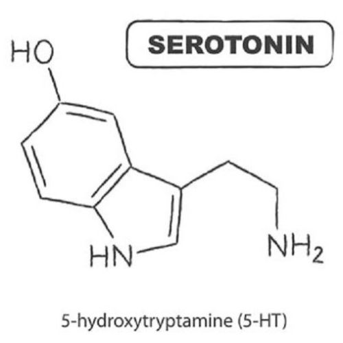 5-Hydroxytryptophan Powder