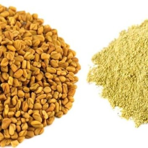 Fenugreek Extract Powder