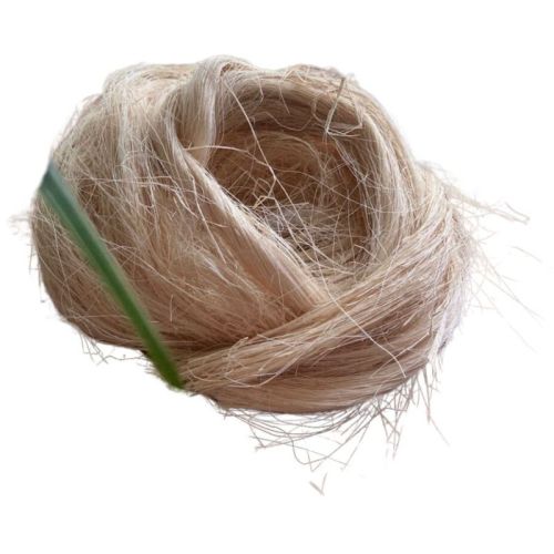 Banana Fiber