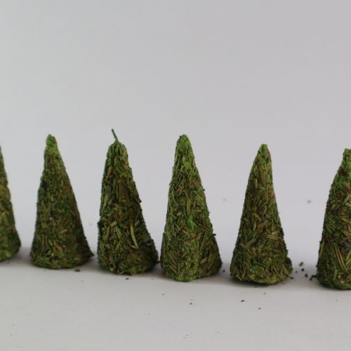 Rosemary Leaves Smudge Incense Cones