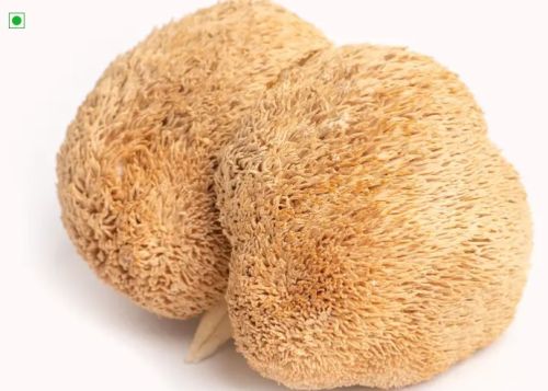 Dried Lions Mane Mushroom