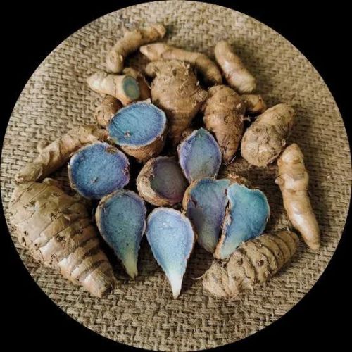 Black Turmeric Seeds