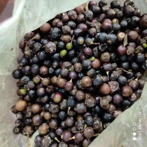 Curry Leaf Seeds