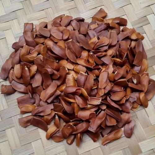 Mahogany Seeds