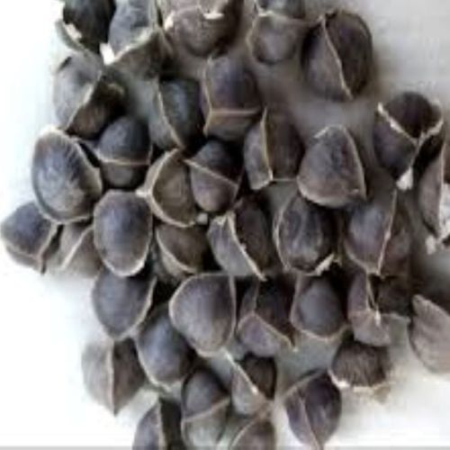 Mole Moringa Seeds