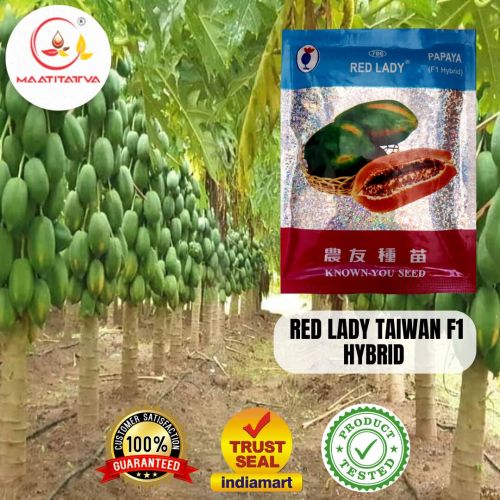 Taiwan Red Lady 786 Papaya Seeds