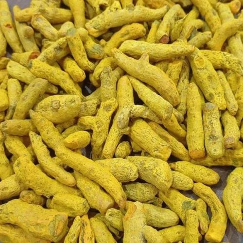 Yellow Turmeric Finger