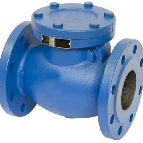 Cast Iron Check Valve