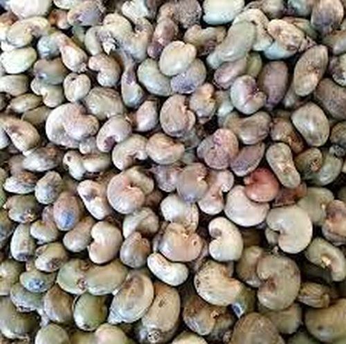 Raw Cashew Nuts