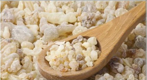 Moringa Organic Gond