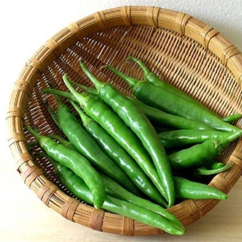 Fresh Green Chilli