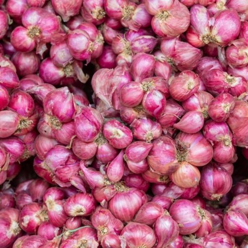 Fresh Small Red Onion