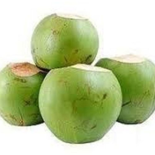 Green Tender Coconut