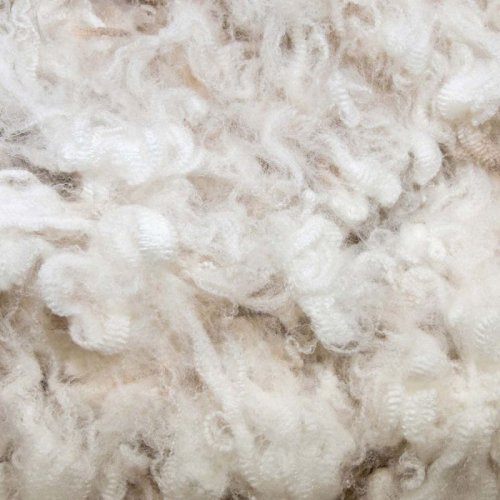 Greasy Raw Wool