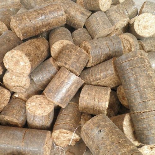 Biomass Briquette