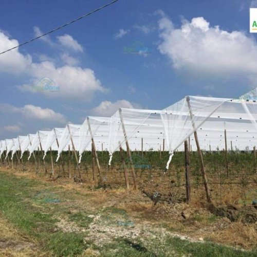 A Roof Shade Net House Anti Rain for Grape