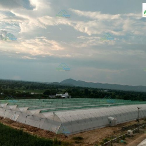 Agricultural Green Houses
