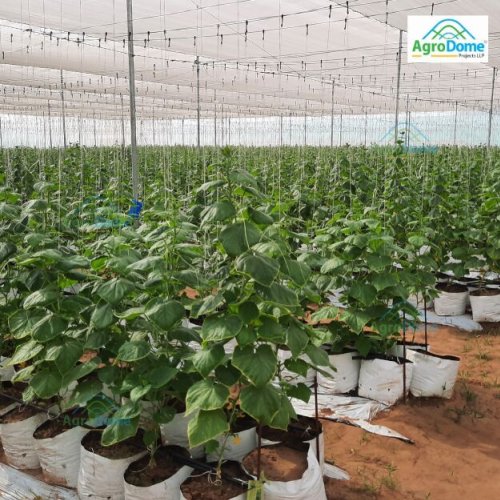 Double Layer Net House