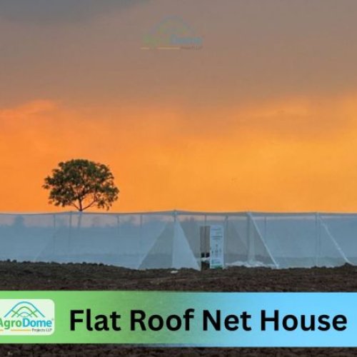 Flat Roof Net House with Rain Protection