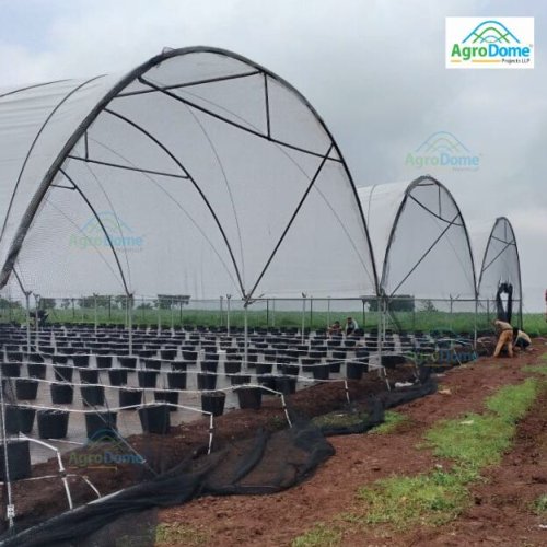 High Tunnel Polyhouse