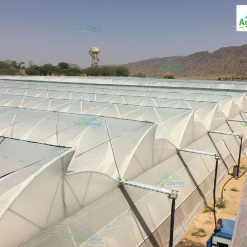 Hybrid Structure Green House