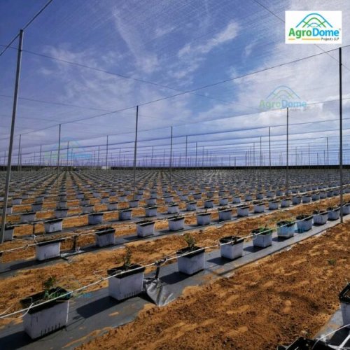 Low Cost Shade Net House