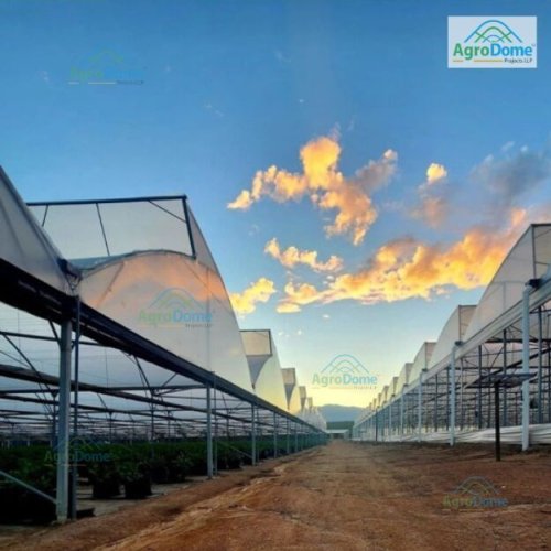 Polyethylene Polyhouse