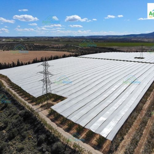 Shade Net House for Cherry Orchard Structure