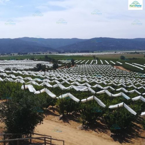 Transparent Anti Hail Shade Net House For Apple Orchards