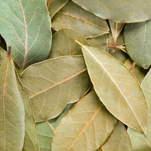 Natural Dried Bay Leaves