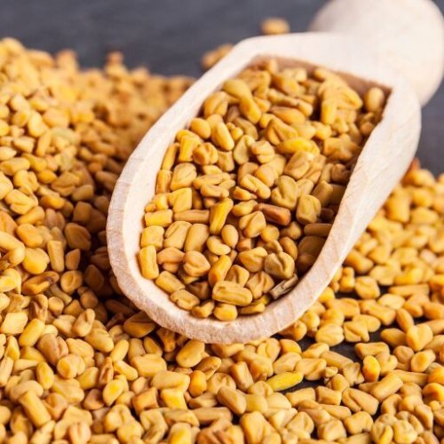 Natural Dried Fenugreek Seeds