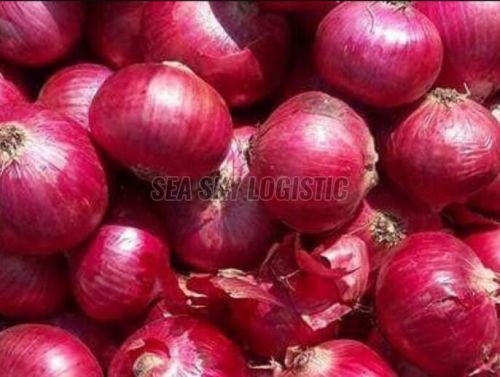 fresh onions