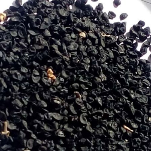 Nashik Red Onion Seeds