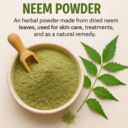 Dehydrated Neem Powder