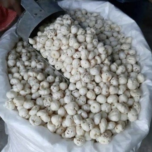 4 Suta Plus Phool Makhana