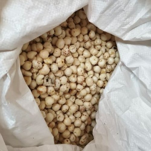 6 Suta Phool Makhana