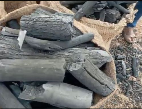 Hard Wood Charcoal